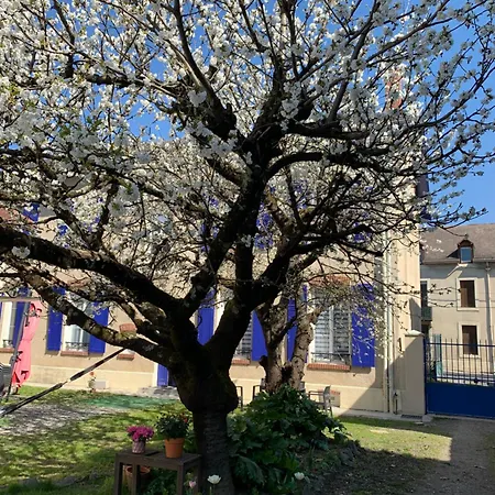 Apartment La Douchka Azzurra Loures-Barousse