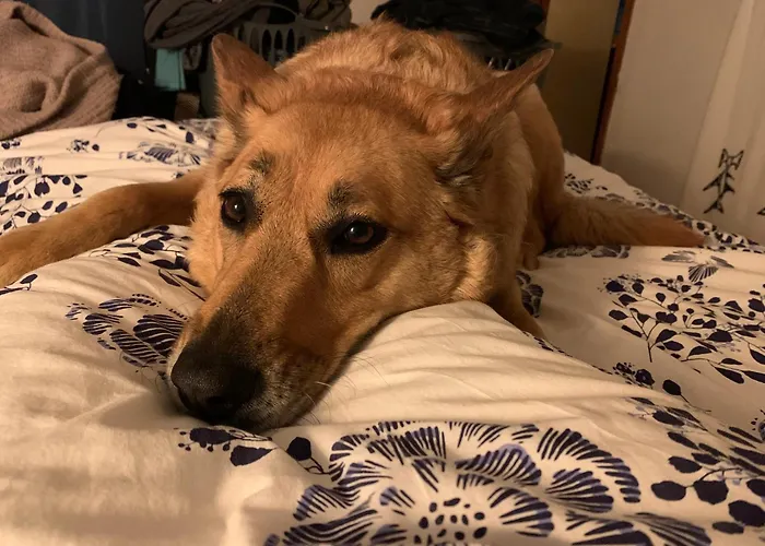 Avec Jardin Apartment *